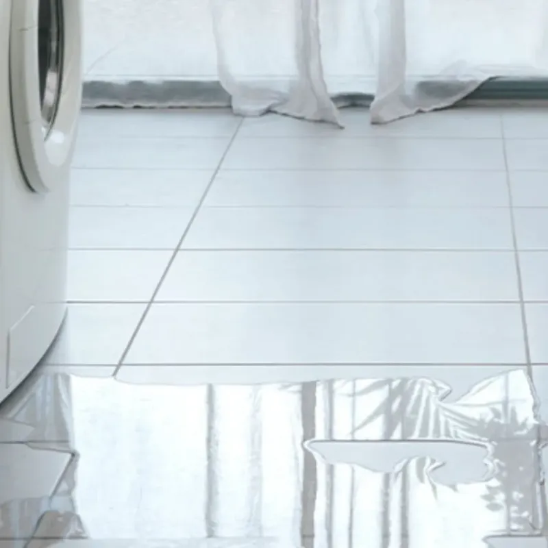 Appliance Leak Cleanup in Benton, MO