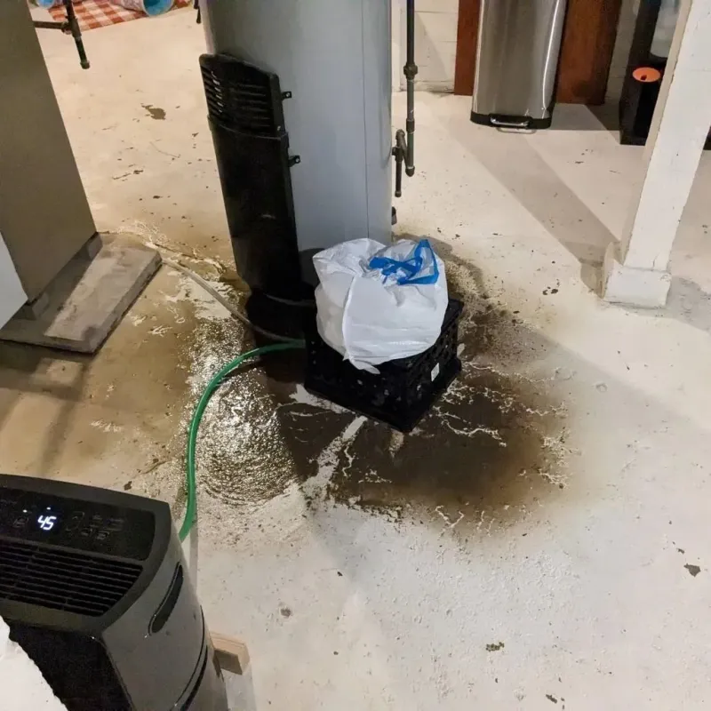 Sewage Backup Cleanup Service in Benton, MO